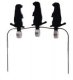 DURA-SEAL TRIPLE PRAIRIE DOG BLK 5.5IN