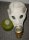 Gas Masks, NBC, Radiation Detect