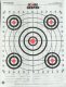 SK 100YD RIFLE SGT-IN OR/BLK BULL TGT 12PK