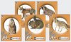 PRACTICE CRITTER SERIES TARGET 10PK