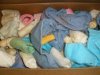 Romanian PSL- Cleaning Rag / Patch Material QTY 1 Piece Romanian PSL- Cleaning Rag / Patch Material QTY 1 Piece