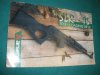 Arsenal SLR 95 Manual Arsenal SLR 95 Manual