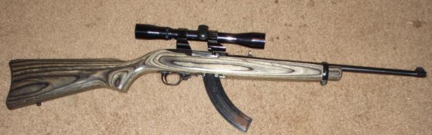 Ruger 10-22 Rifle