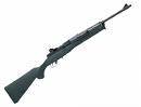 Ruger Mini 14 & 10-22 by TAPCO